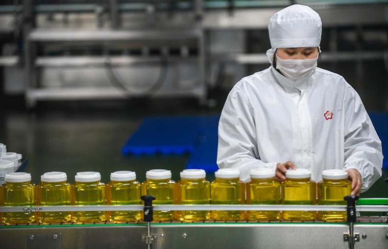 廊坊经济技术开发区打造蜂产品加工基地 (1)_图片新闻_中国政府网